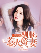 一夜沉沦:驯服惹火娇妻
