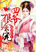 福晋在上:四爷,狠会宠!