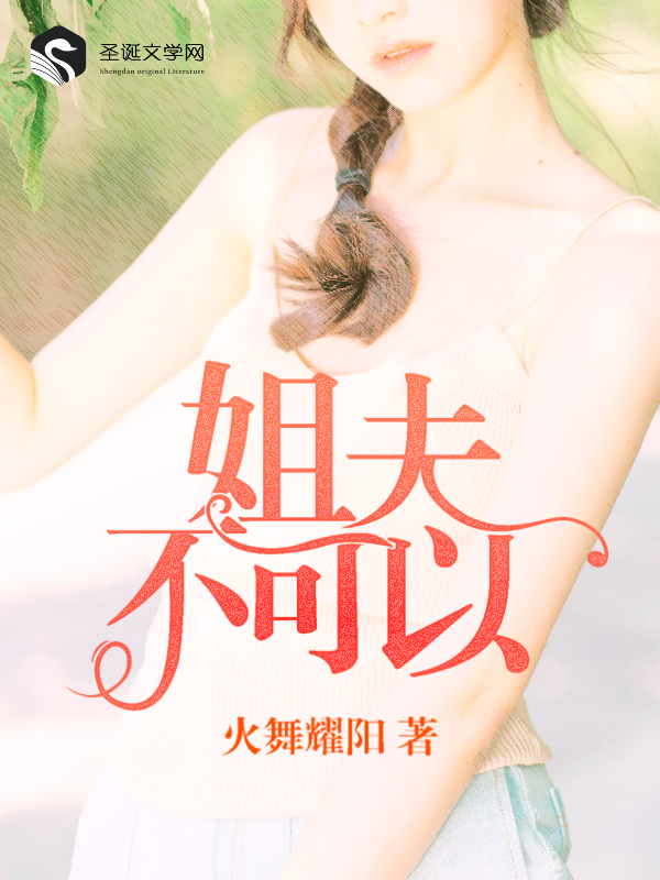 姐夫不可以