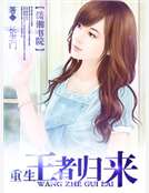 重生之王者归来